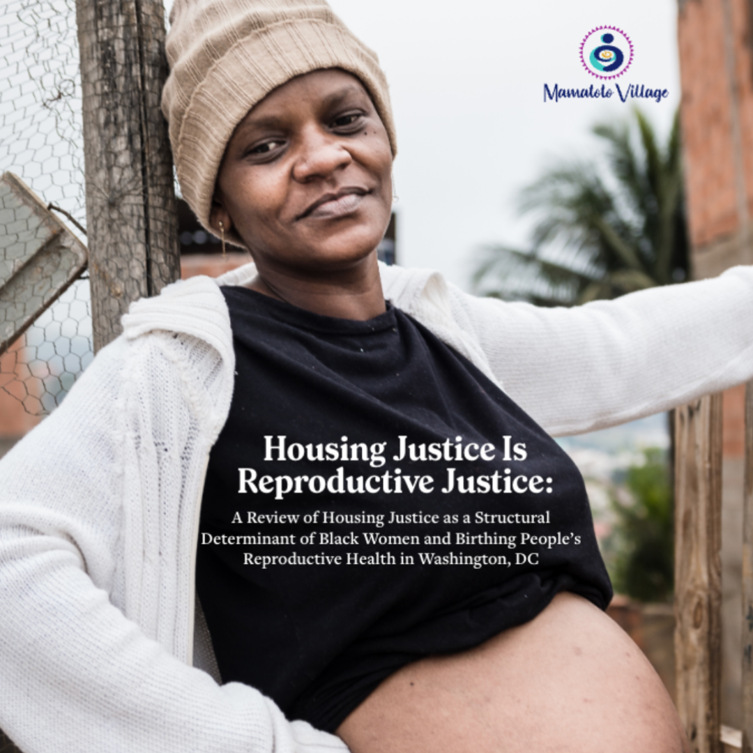 https://www.mamatotovillage.org/wp-content/uploads/2024/08/Housing-is-Maternal-Health.png